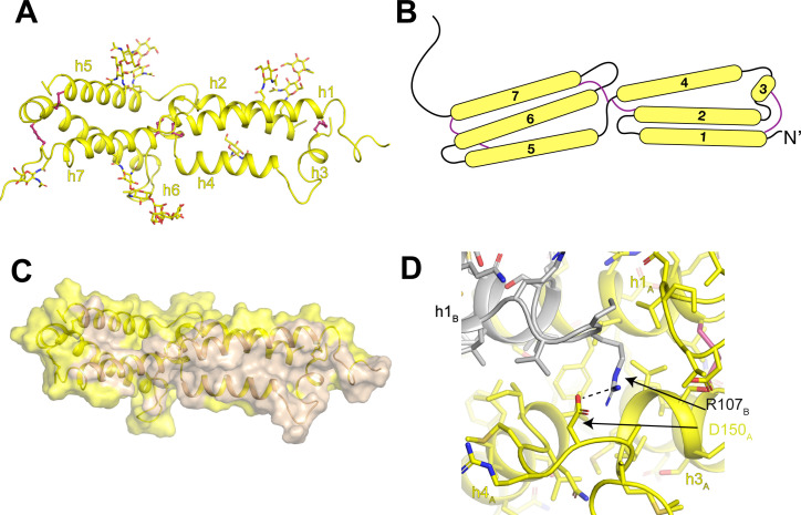 Figure 6.