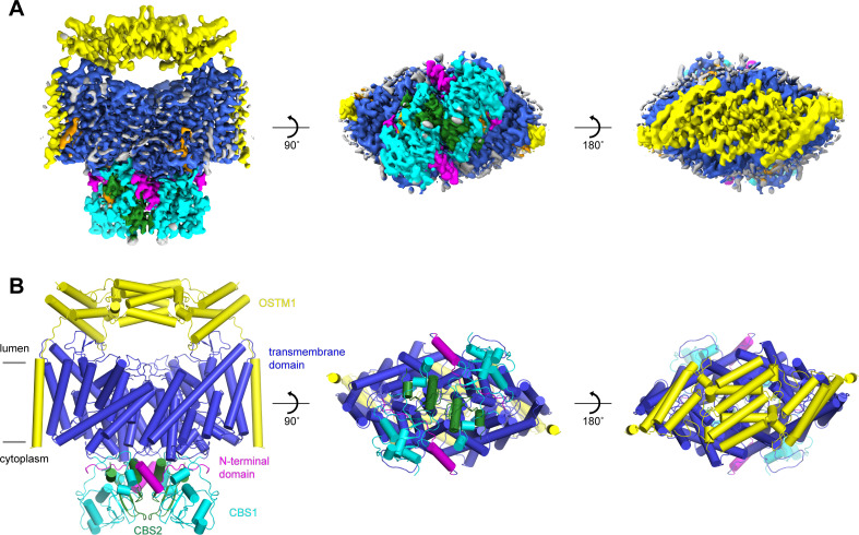 Figure 5.