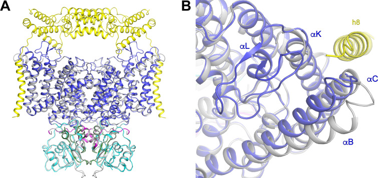 Figure 7—figure supplement 1.