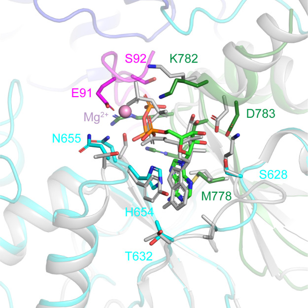 Figure 3—figure supplement 1.