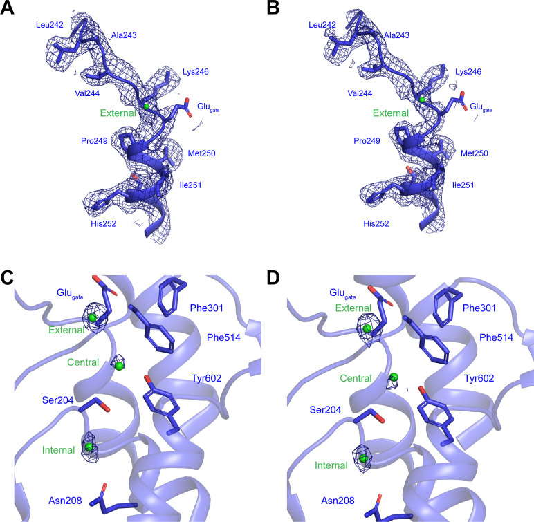 Figure 7—figure supplement 2.