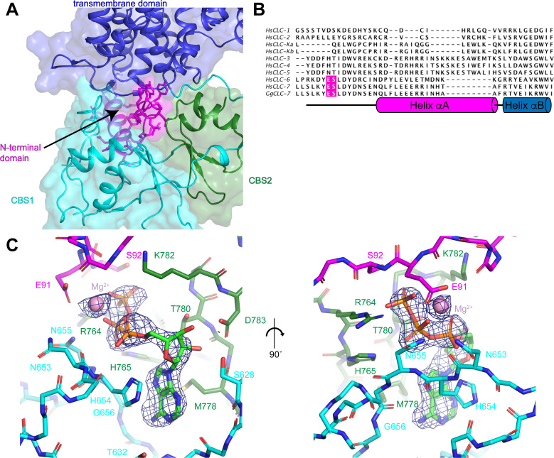 Figure 3.