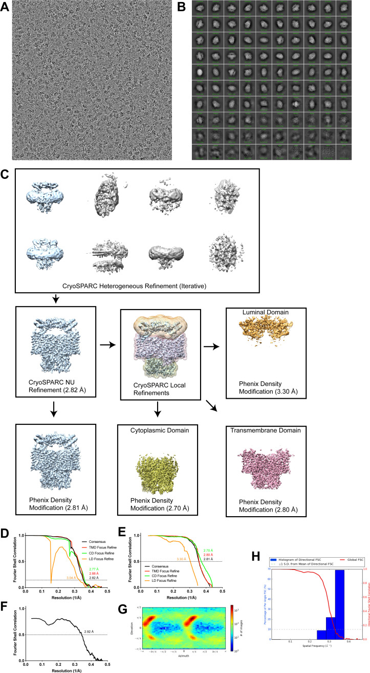 Figure 5—figure supplement 1.