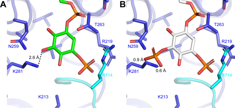 Figure 4—figure supplement 1.