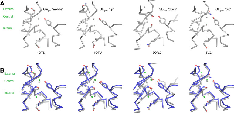 Figure 2—figure supplement 1.