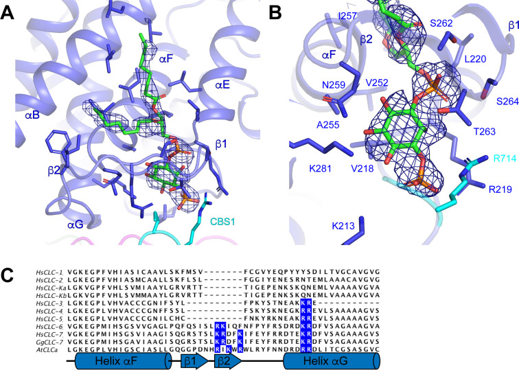 Figure 4.