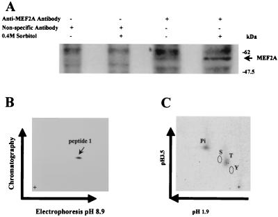 FIG. 6