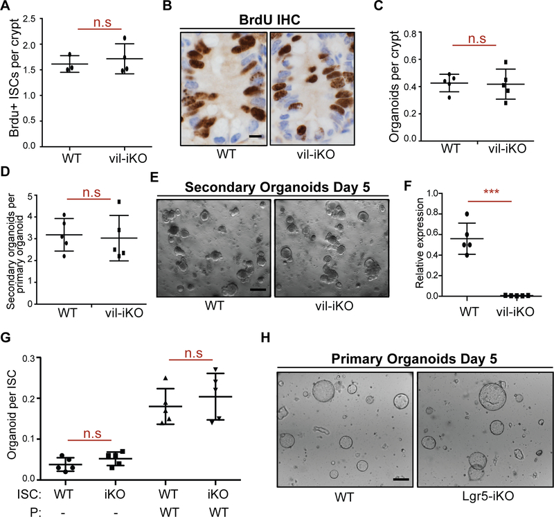 Figure 2 |