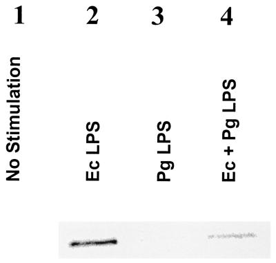 FIG. 5.