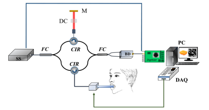 Fig. 2