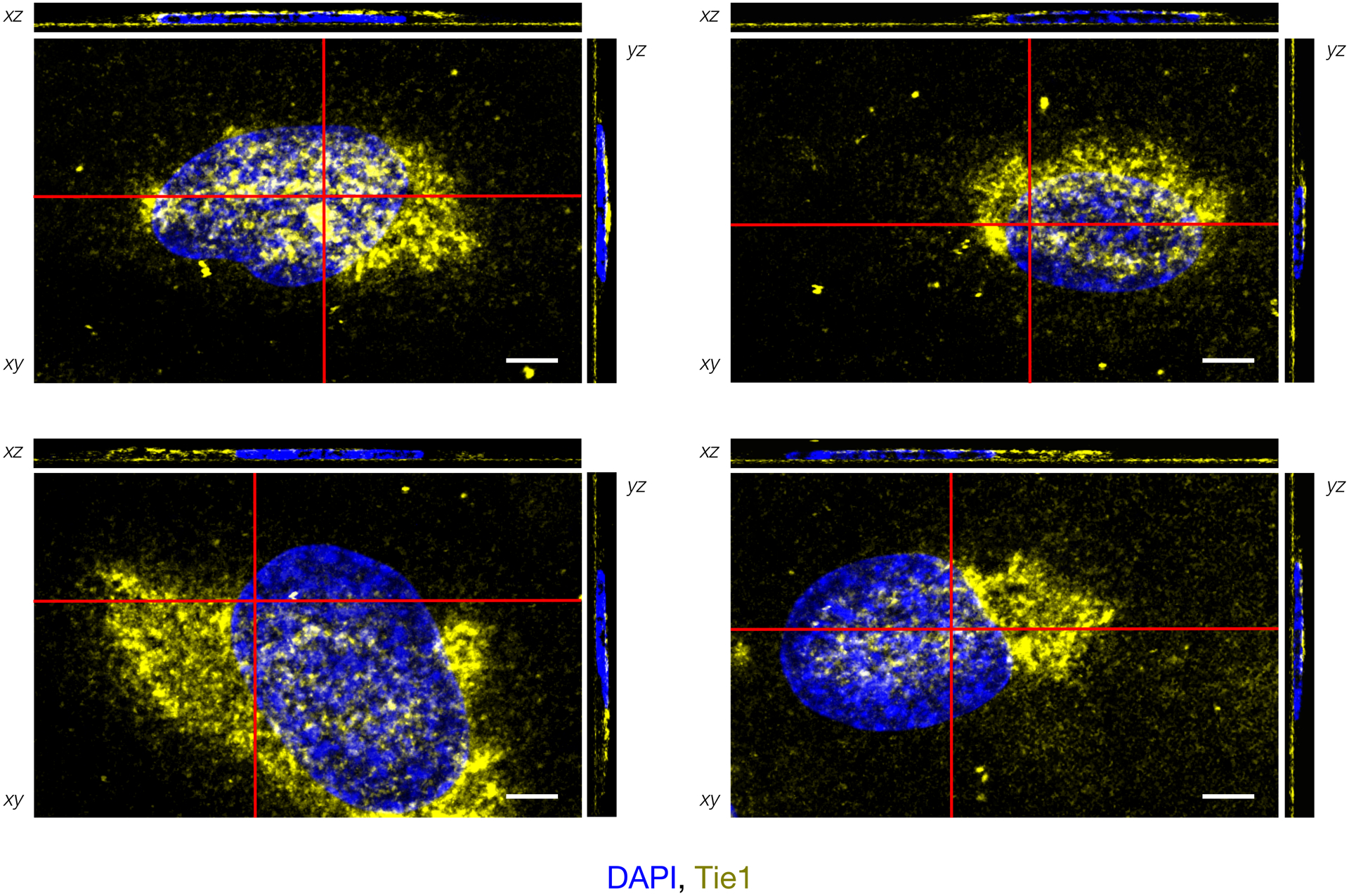 Extended Data Fig. 4