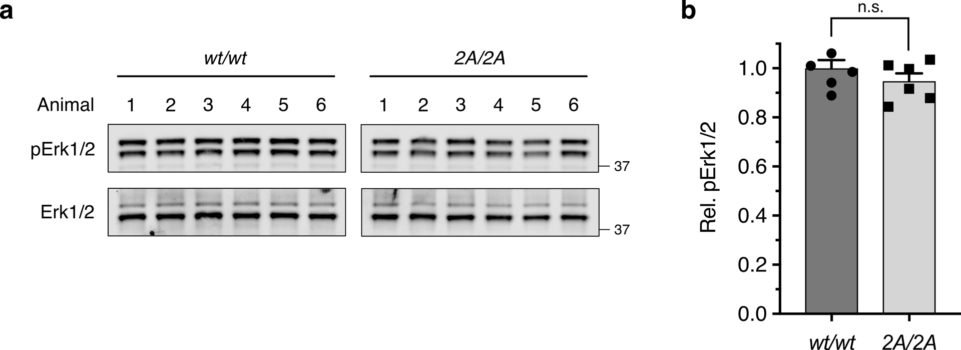 Extended Data Fig. 9