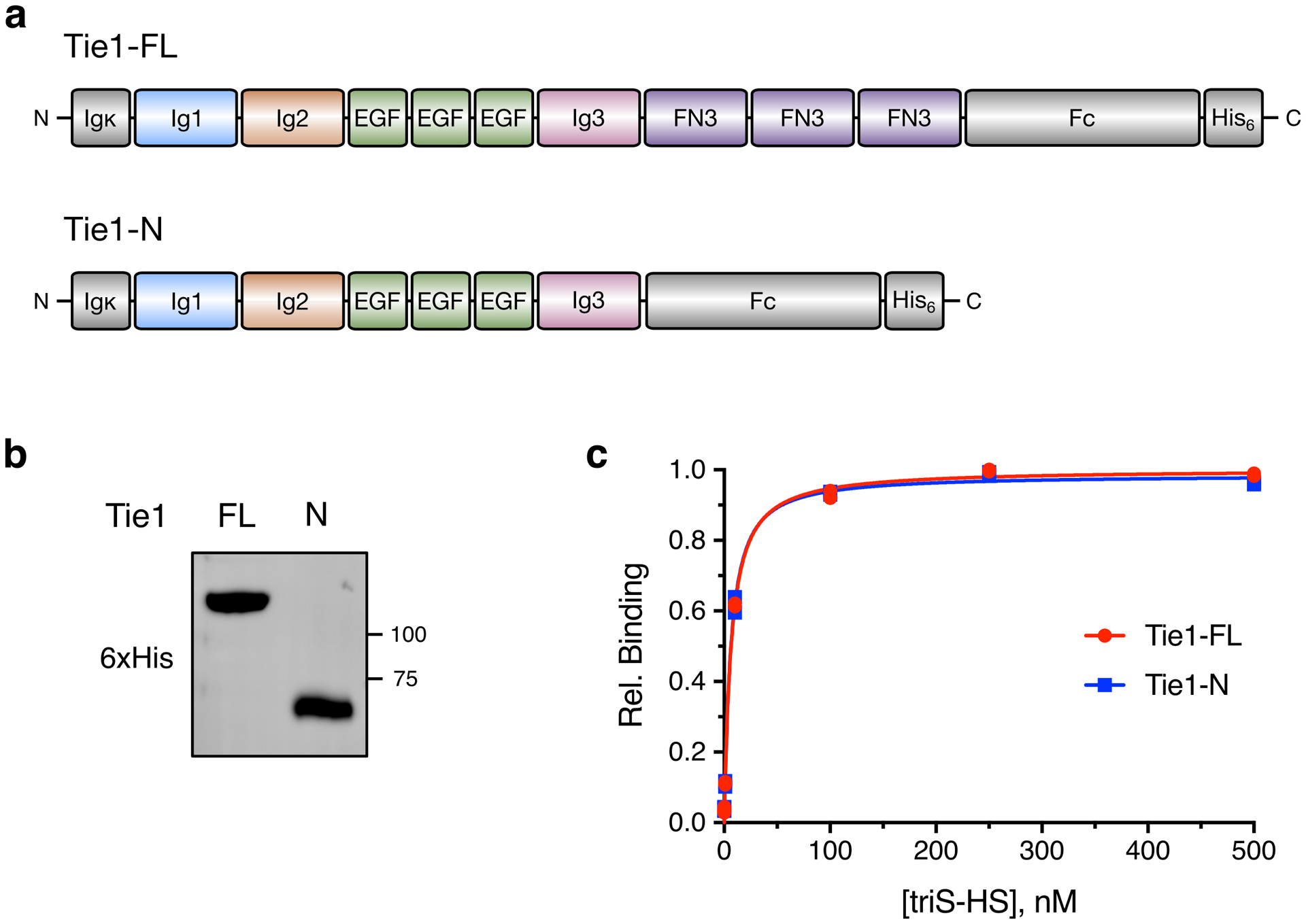 Extended Data Fig. 5