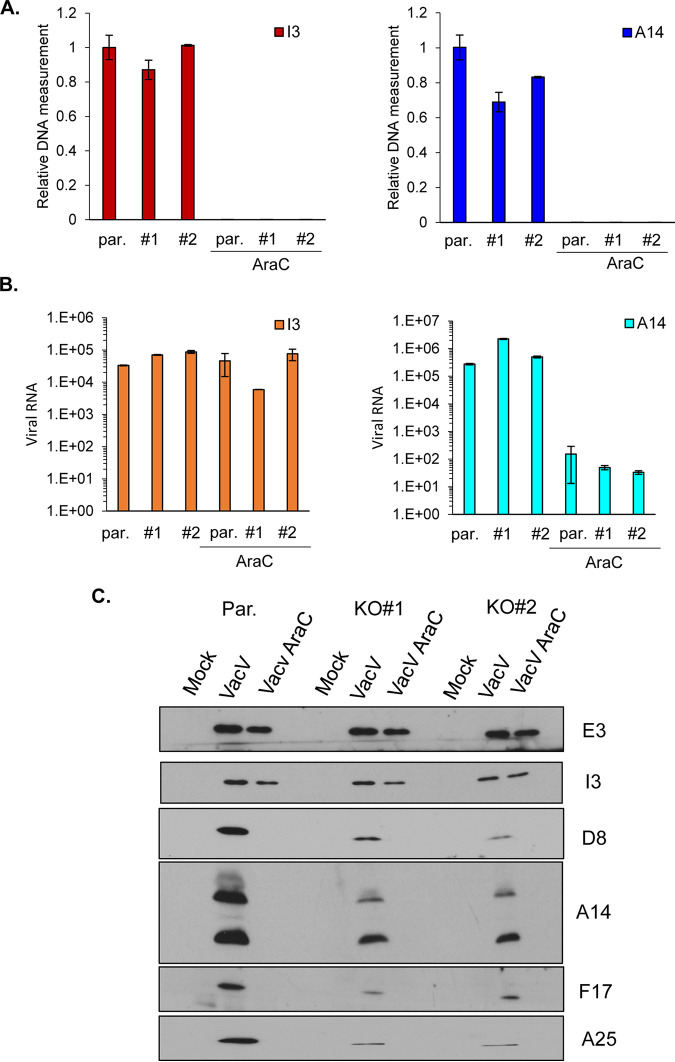 FIG 3