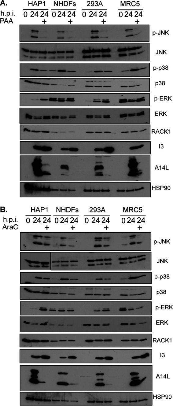 FIG 5