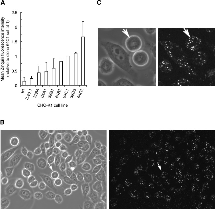 Fig. 4.