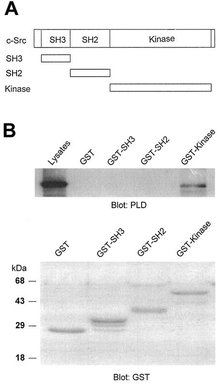 FIG. 5.