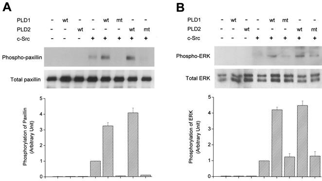 FIG. 9.