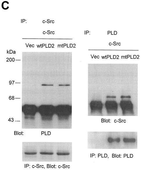 FIG. 8.