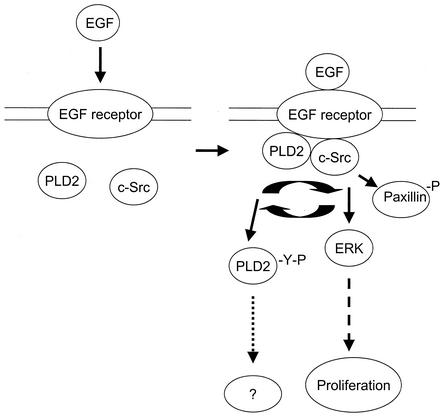 FIG. 10.