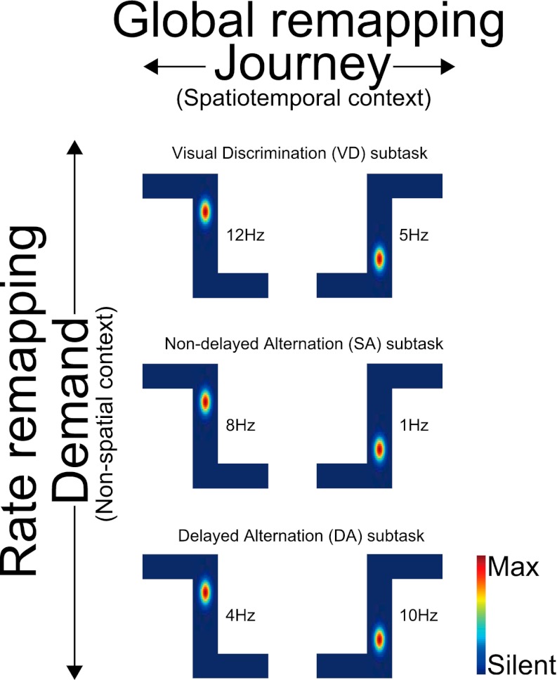 Figure 3—figure supplement 1.