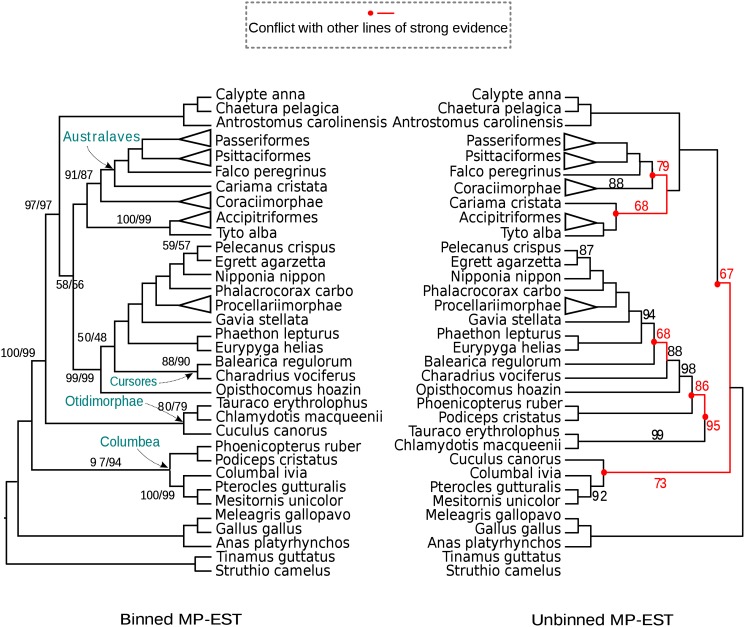 Fig 10