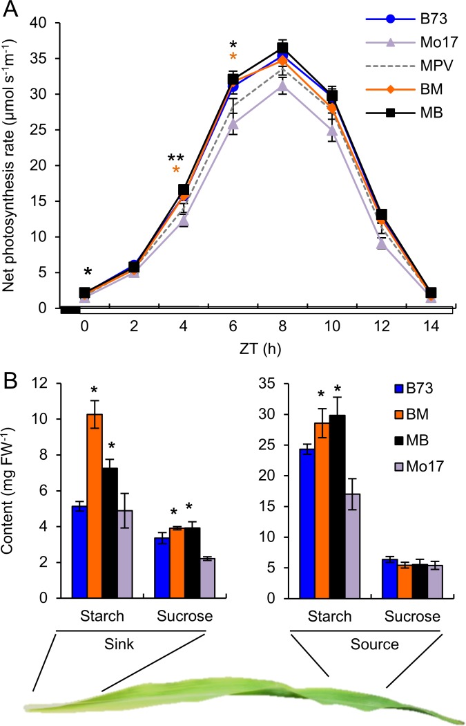 Fig 2