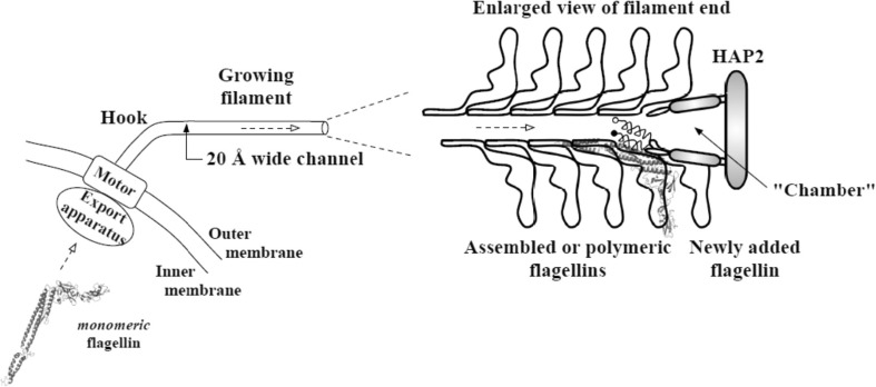 Fig. 7