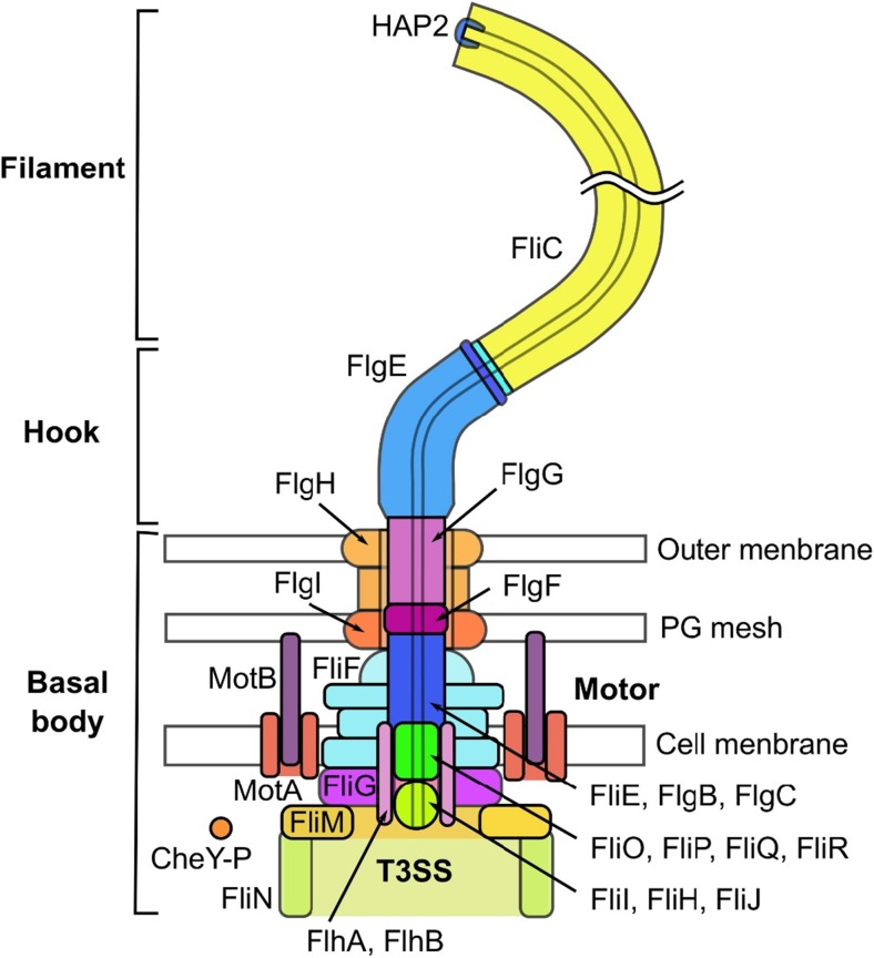 Fig. 1