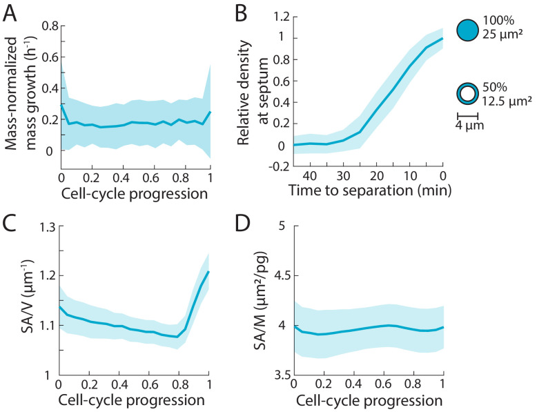 Figure 2—figure supplement 3.