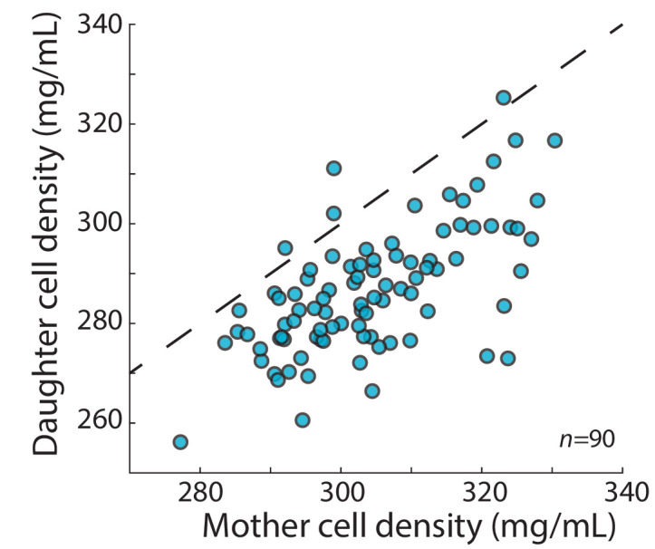 Figure 2—figure supplement 2.