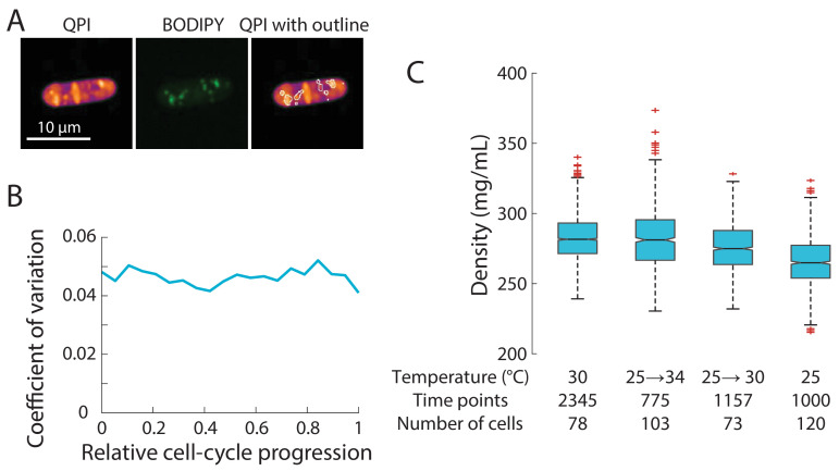 Figure 1—figure supplement 1.