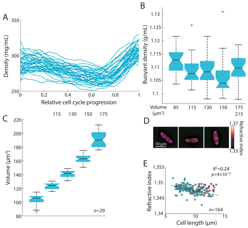 Figure 2—figure supplement 1.