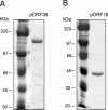 FIG. 3.