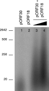 FIG. 6.