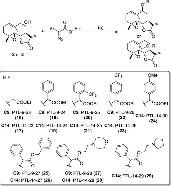 Scheme 4