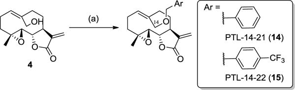 Scheme 3