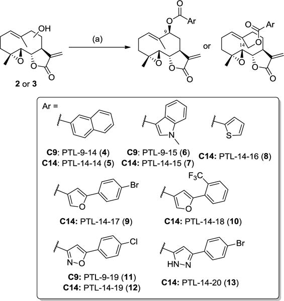 Scheme 2