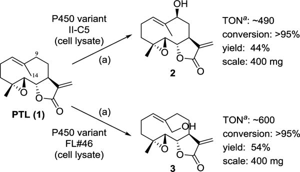 Scheme 1