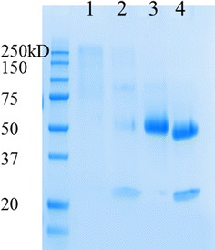 Fig. 2