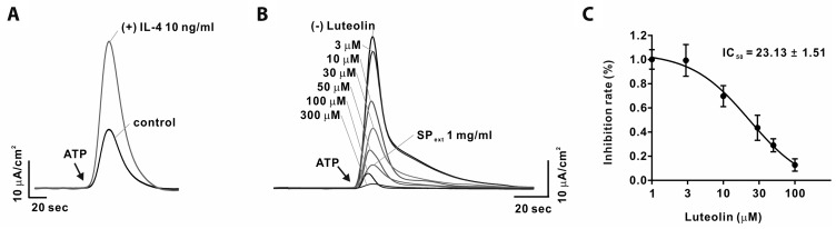 Fig. 6