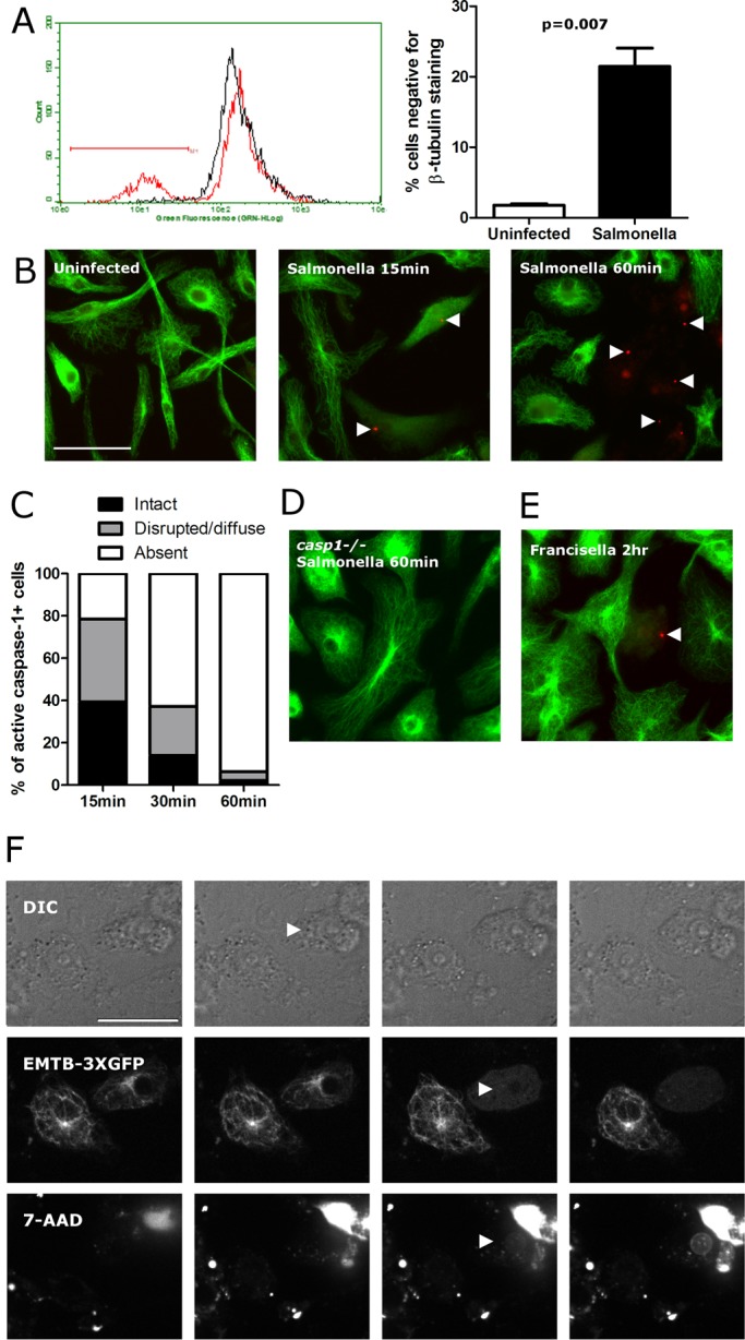 FIGURE 4: