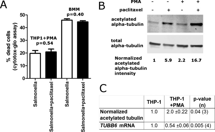 FIGURE 6: