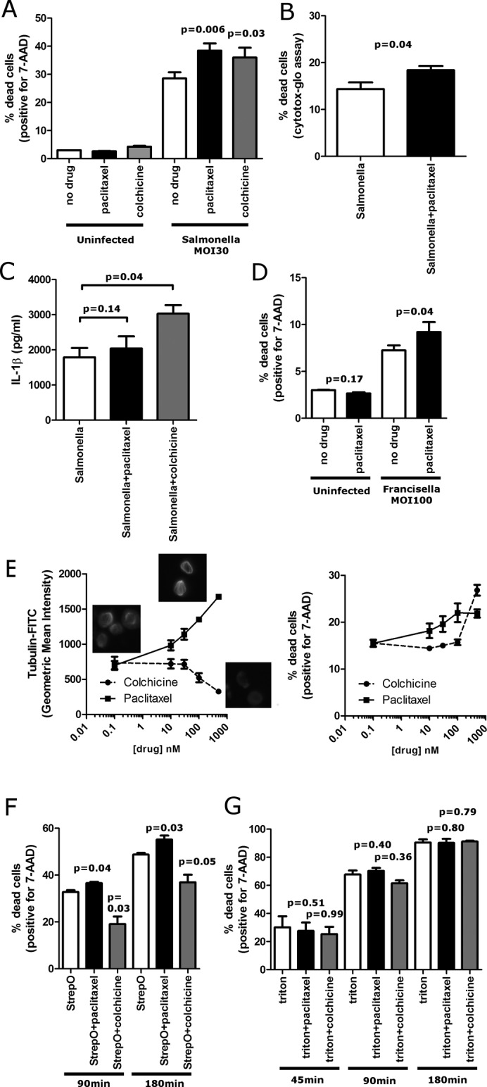 FIGURE 5: