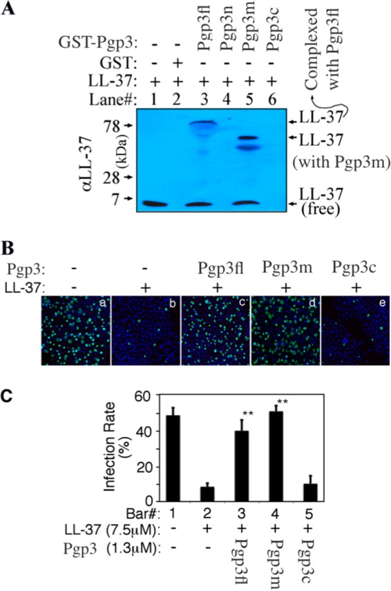 FIG 4