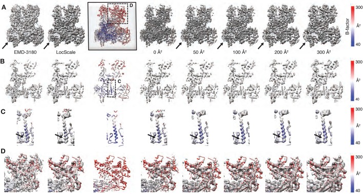 Figure 3—figure supplement 2.