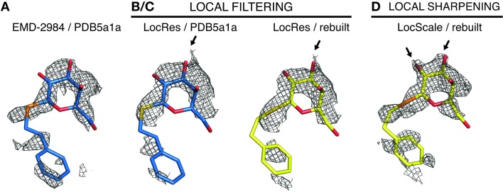 Figure 7—figure supplement 2.