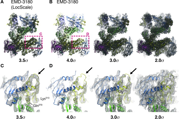 Figure 6—figure supplement 1.