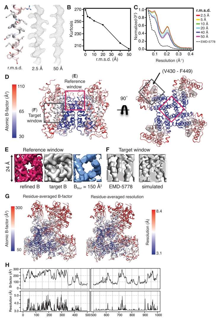 Figure 3—figure supplement 1.