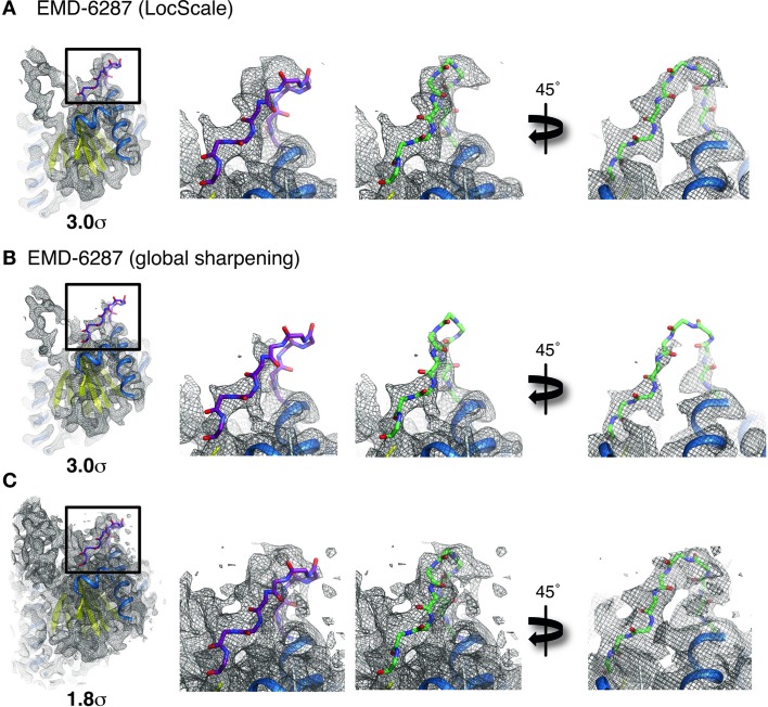 Figure 6—figure supplement 2.